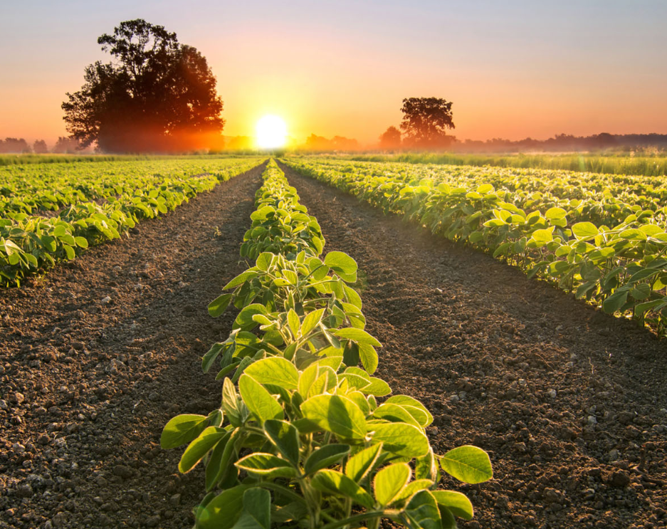 Qbil en Simac vieren 5 jaar partnership