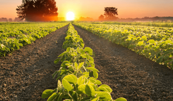 Simac en partner Qbil vieren 5 jaar samenwerking