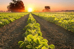 Simac en partner Qbil vieren 5 jaar samenwerking